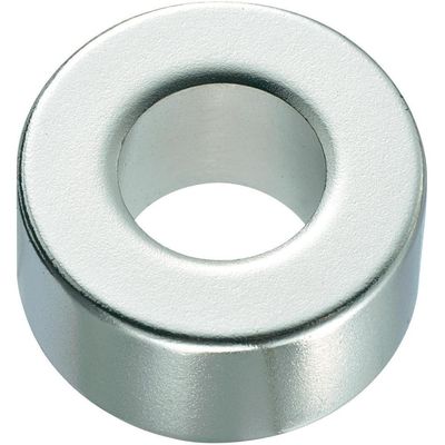 Muster großer Radialmagnetisierungsring Neodym-Magnet N35-N52 für Industrie-Magneten
