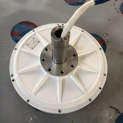 AFPMG520 1 kW vertikaler Windturbinenmotorgenerator für Gehäuse aus Aluminiumlegierung