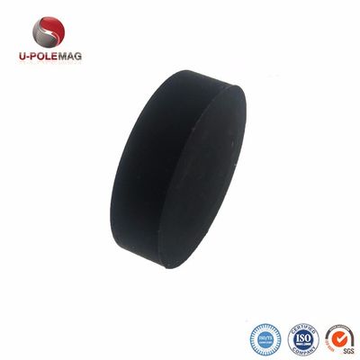 ISO9001 2004 Achsbeschichtete Neodym-Disc-Magnete für Wasserdichtungsanwendungen